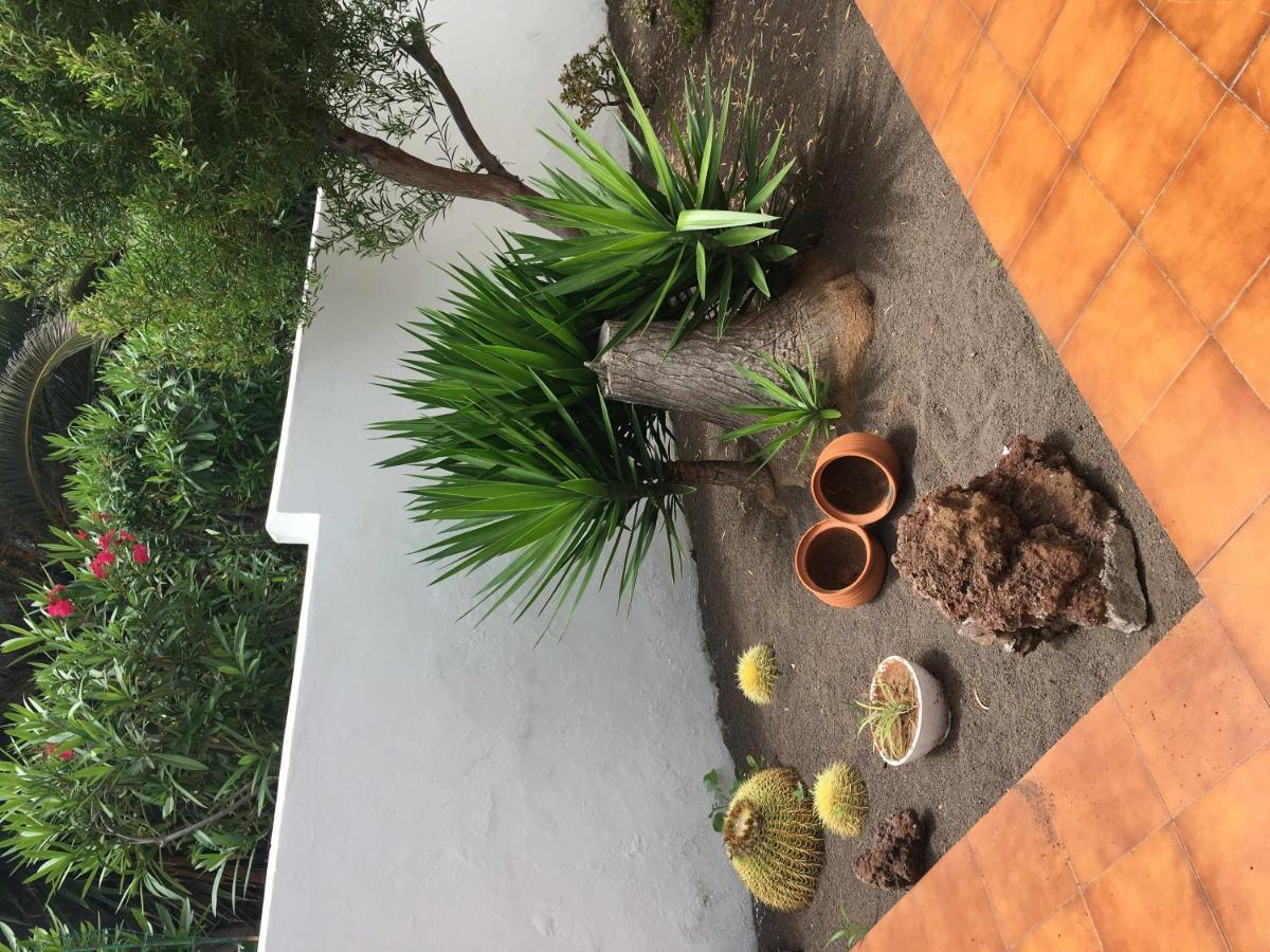 Apartamento Con Jardin Y Piscina B Puerto de la Cruz  Extérieur photo